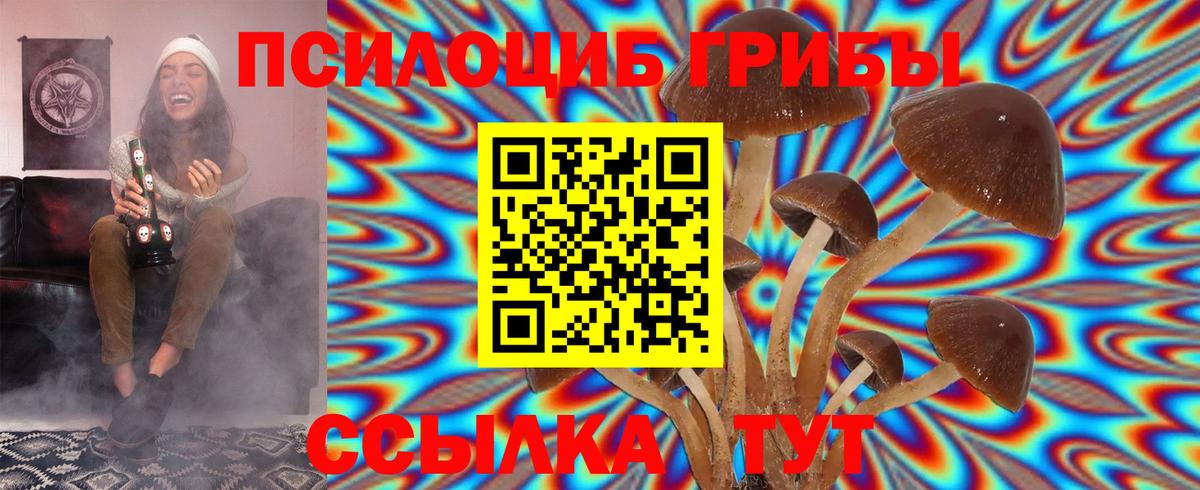 Галлюциногенные грибы GOLDEN TEACHER Чернушка