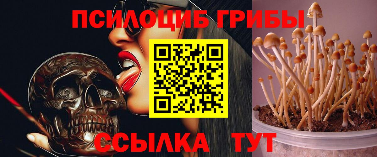 Чернушка  Галлюциногенные грибы MAGIC MUSHROOMS  Вход с VPN  Галлюциногенные грибы Magic Shrooms 